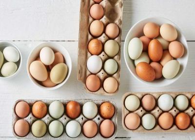 50 نکته راهنمای خرید تخم مرغ ، واقعا تخم مرغ محلی از صنعتی بهتره؟ 50 نکته راهنمای خرید تخم مرغ ، واقعا تخم مرغ محلی از صنعتی بهتره؟